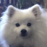 Profile photo of Mari (piano)